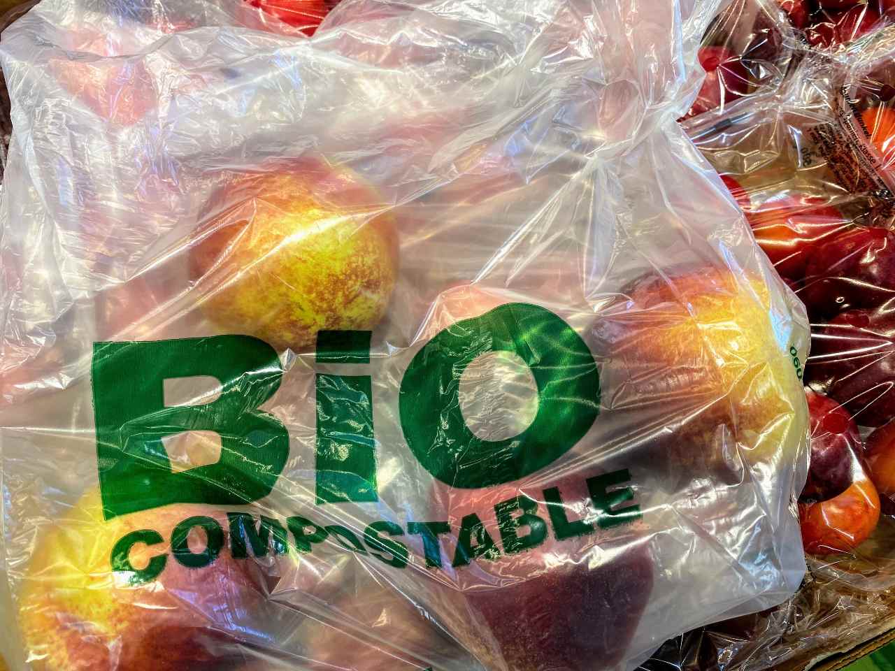 PACE projects image Bio Plastics Europe