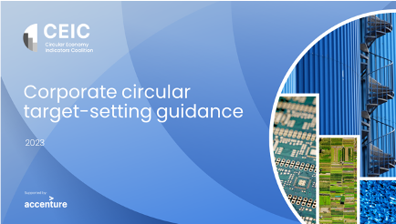 Corporate target-setting for the circular economy